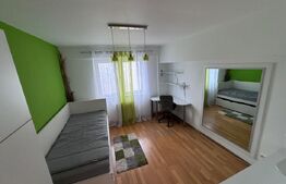 Apartament de inchiriat in Pucioasa 