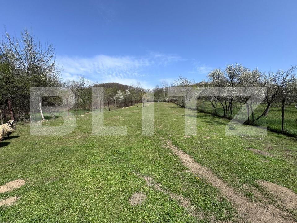 Casa de vânzare 5 camere Nord-Vest - 169250CV | BLITZ Târgoviște | Poza13