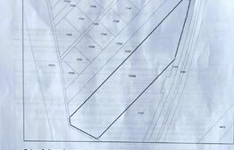 Teren de vanzare, 302 mp intravilan arabil,  12.507 mp extravilan,  zona Dedeman