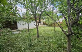 Casa de Vanzare in Valea Voievozilor