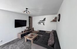 Casa de Vanzare in Valea Voievozilor