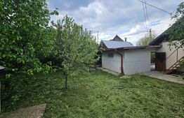 Casa de Vanzare in Valea Voievozilor