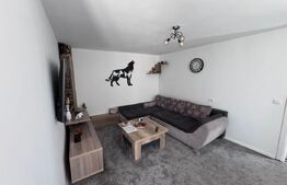 Casa de Vanzare in Valea Voievozilor