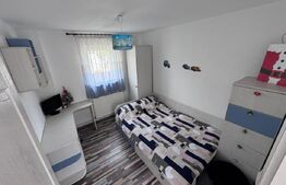 Casa de Vanzare in Valea Voievozilor