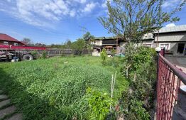 Casa de Vanzare in Fieni 