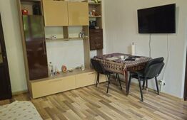 Apartament de vanzare, cu 2 camere, 37 mp, zona Piata 1 Mai