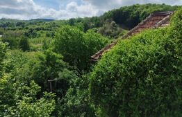 Proprietate cu teren generos 1.500 mp  Casă P+1  Voinesti