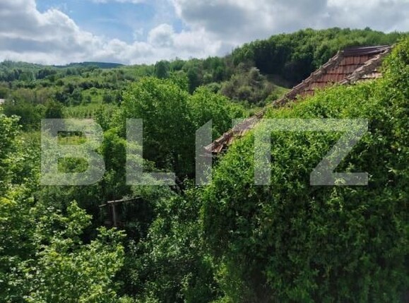 Casa de vânzare 3 camere Gemenea-Bratulesti - 170003CV | BLITZ Târgoviște | Poza1