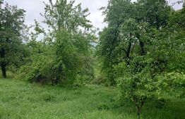 Teren intravilan Cucuteni