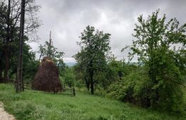 Teren intravilan Cucuteni