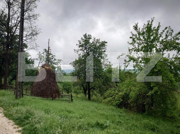 Teren de vânzare Fieni - 170108TV | BLITZ Târgoviște | Poza3