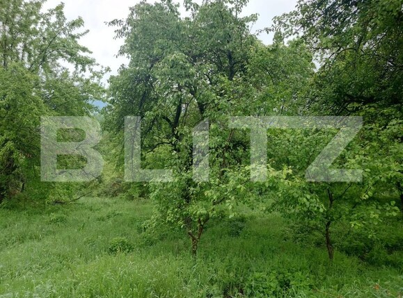 Teren de vânzare Fieni - 170108TV | BLITZ Târgoviște | Poza2