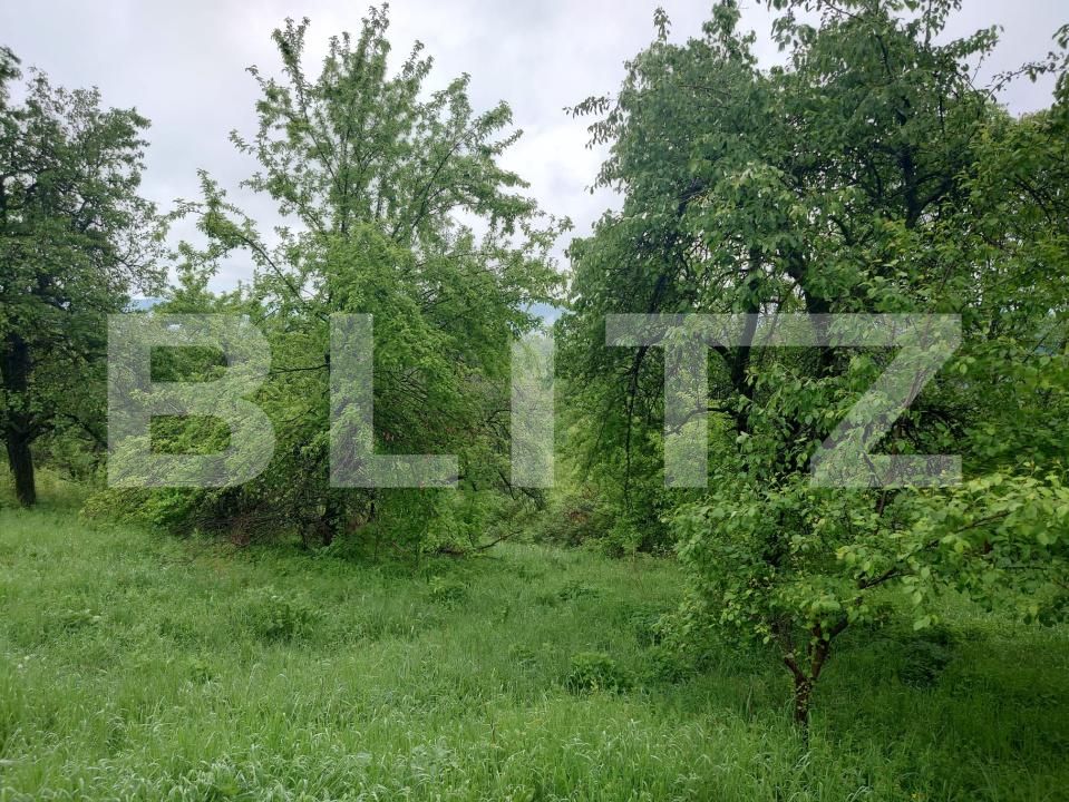 Teren de vânzare Fieni - 170108TV | BLITZ Târgoviște | Poza1