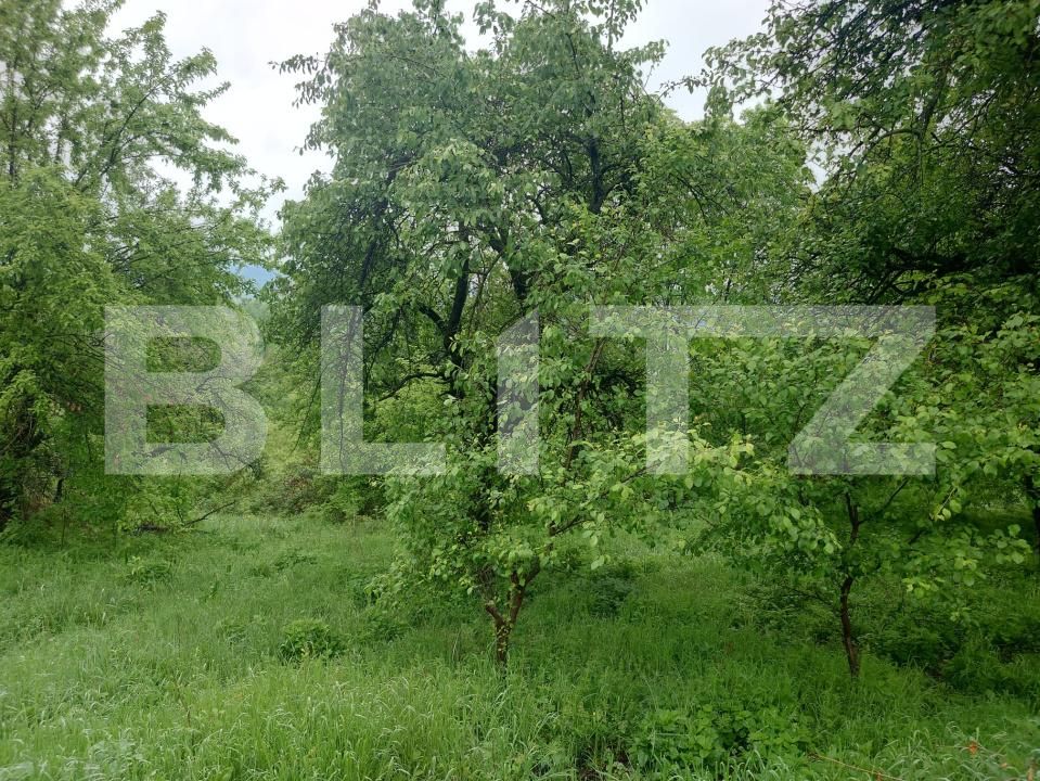 Teren de vânzare Fieni - 170108TV | BLITZ Târgoviște | Poza2