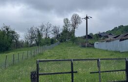 Teren de Vanzare in Bezdead