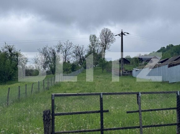 Teren de vânzare Bezdead - 170191TV | BLITZ Târgoviște | Poza2