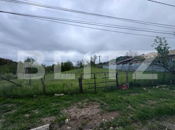 Teren de vânzare Bezdead - 170191TV | BLITZ Târgoviște | Poza3