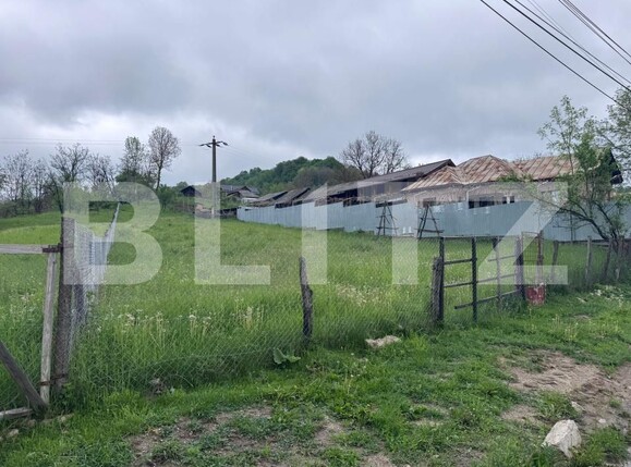 Teren de vânzare Bezdead - 170191TV | BLITZ Târgoviște | Poza1