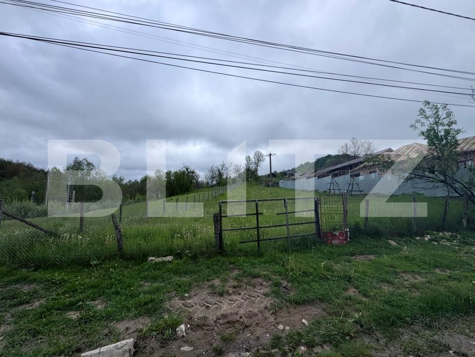 Teren de vânzare Bezdead - 170191TV | BLITZ Târgoviște | Poza3