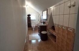  Vilă de lux de vanzare, 15 camere, 550 mp, zona Micro 6, comision 0%