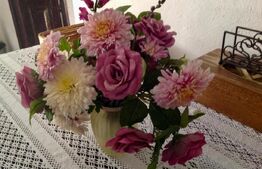  Casă de vacanță, de vanzare, 53 mp, zona Dobra