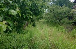 Teren intravilan, de vanzare, 2474 mp, zona Voinesti