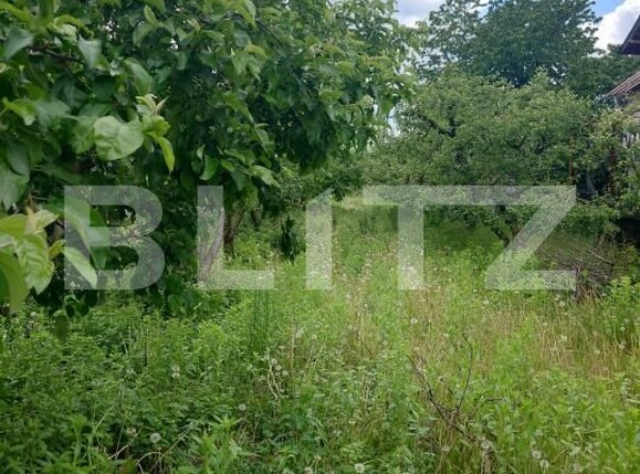 Teren de vânzare Nord-Vest - 170354TV | BLITZ Târgoviște | Poza1