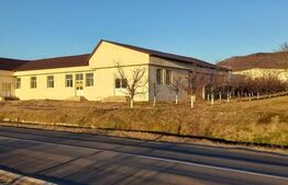 Spatiu comercial, de vanzare, 425 mp, zona Voinesti