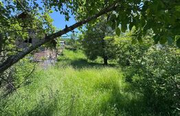 Visează-ți casa de vacanță aici – Teren în Bezdead de vânzare! 