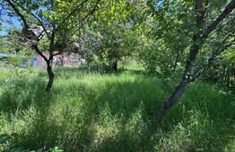 Visează-ți casa de vacanță aici – Teren în Bezdead de vânzare! 