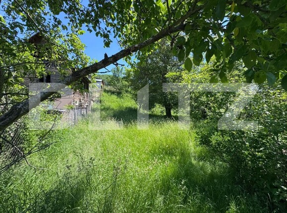 Teren de vânzare Bezdead - 170484TV | BLITZ Târgoviște | Poza1