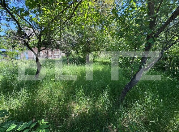 Teren de vânzare Bezdead - 170484TV | BLITZ Târgoviște | Poza3