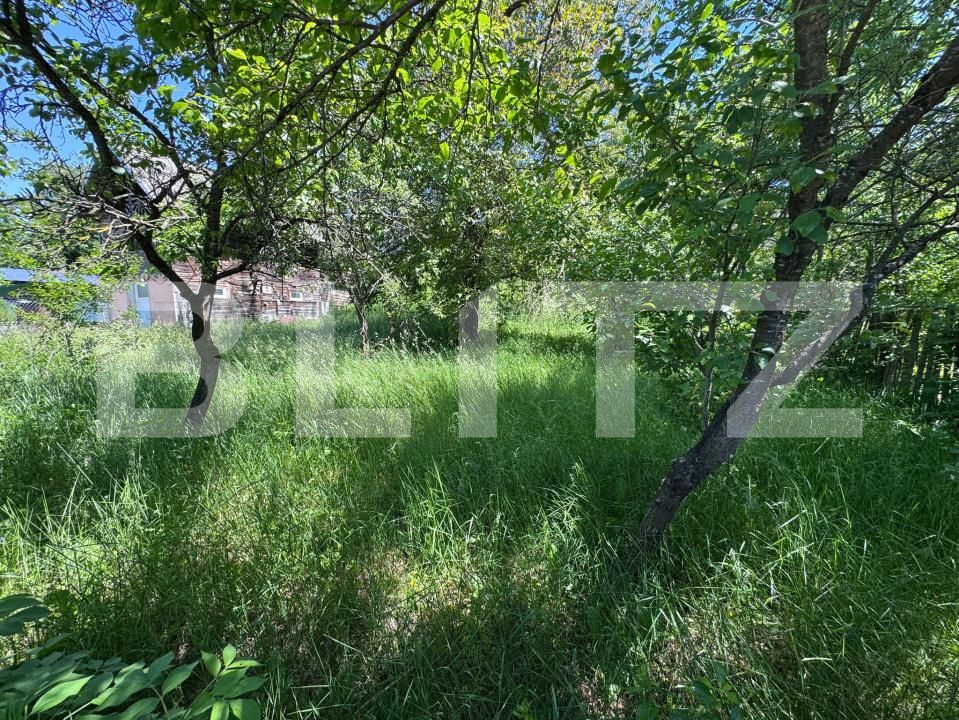 Teren de vânzare Bezdead - 170484TV | BLITZ Târgoviște | Poza2