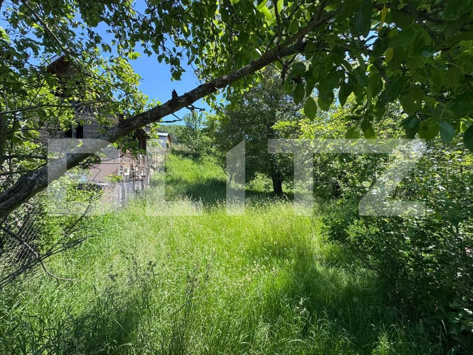 Teren de vânzare Bezdead - 170484TV | BLITZ Târgoviște | Poza1