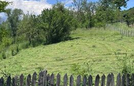 Teren intravilan, deschidere la drum – Bezdead, Dâmbovița