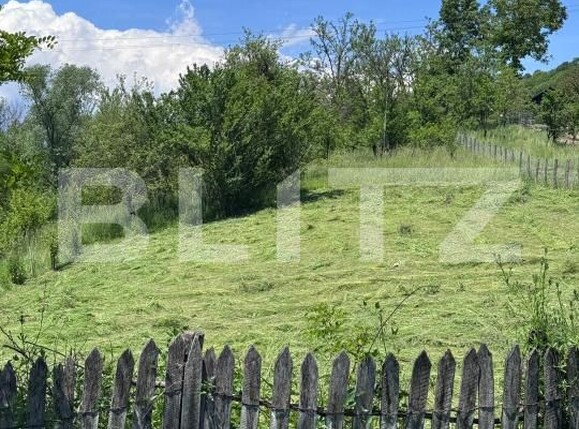 Teren de vânzare Bezdead - 170499TV | BLITZ Târgoviște | Poza1