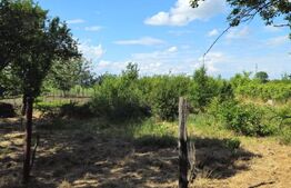 Casa de caramida, de vanzare, 1417 mp teren, zona Jugureni