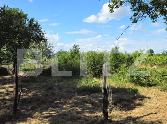 Casa de vânzare 2 camere Exterior Sud - 171009CV | BLITZ Târgoviște | Poza12