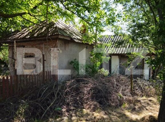 Casa de vânzare 2 camere Exterior Sud - 171009CV | BLITZ Târgoviște | Poza3