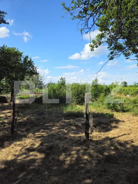 Casa de vânzare 2 camere Exterior Sud - 171009CV | BLITZ Târgoviște | Poza12