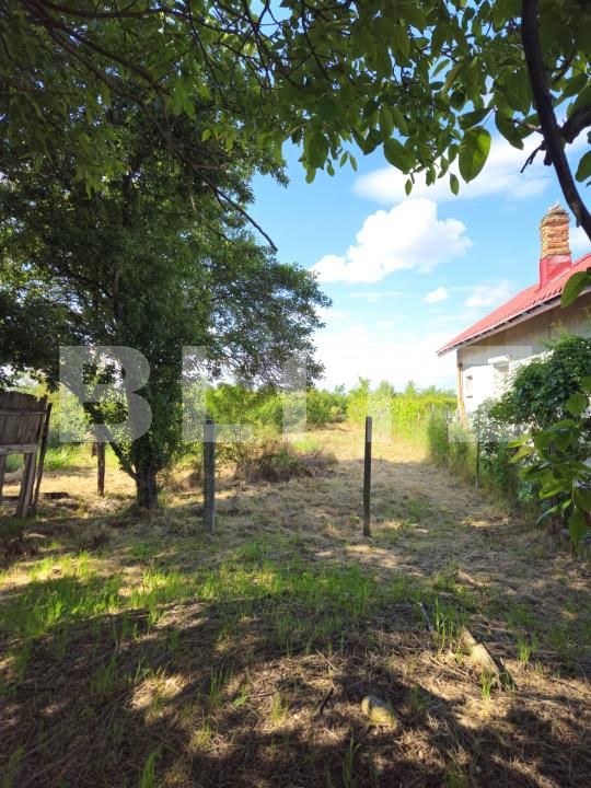 Casa de vânzare 2 camere Exterior Sud - 171009CV | BLITZ Târgoviște | Poza13