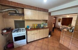 Vila de vanzare, cu 4 camere, 320 mp, zona Șuvița