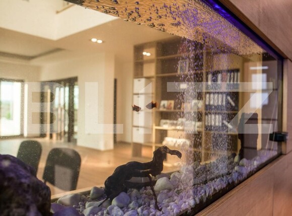 Casa de închiriat 5 camere Sud - 171074CI | BLITZ Târgoviște | Poza16