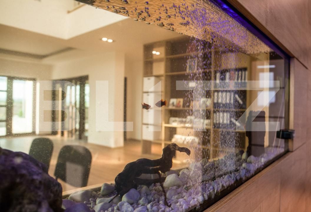 Casa de închiriat 5 camere Sud - 171074CI | BLITZ Târgoviște | Poza16