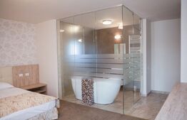 Pensiune premium, de închiriat, cu 6 camere, 420 mp, zona sud 