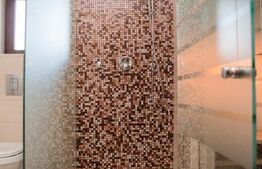 Pensiune premium, de închiriat, cu 6 camere, 420 mp, zona sud 