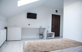Pensiune premium, de închiriat, cu 6 camere, 420 mp, zona sud 