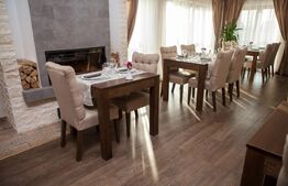 Pensiune premium, de închiriat, cu 6 camere, 420 mp, zona sud 