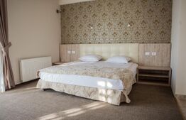 Pensiune premium, de închiriat, cu 6 camere, 420 mp, zona sud 