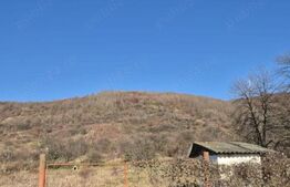 Teren de vânzare în Aninoasa, Dâmbovița – Zonă rezidențială, ideal pentru constr